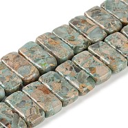 Natural Shoushan Stone/Larderite Beads Strands, Rectangle, 20x10.5x5.5mm, Hole: 1.1mm, about 20pcs/strand, 8.15 inch(20.7cm)(G-L604-F02-01)