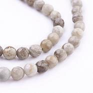 Natural Silver Leaf Jasper Beads Strands, Round, Faceted, 6mm, Hole: 1mm, about 66pcs/strand, 15.7 inch(40cm)(G-G683-08-6mm)