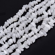 Natural White Jade Beads Strands, Chip, 3~16x3~8mm, Hole: 0.7mm, 32.28''(82cm)(G-F703-02)