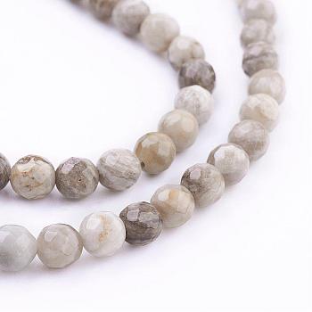 Natural Silver Leaf Jasper Beads Strands, Round, Faceted, 6mm, Hole: 1mm, about 66pcs/strand, 15.7 inch(40cm)
