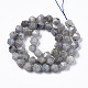 Natural Labradorite Beads Strands(G-R465-33B)-2