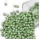 Toho perles de rocaille rondes(X-SEED-TR08-0560F)-1