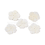 Natural Freshwater Shell Carved Beads, Flower, Seashell Color, 27x27.5x1.5mm, Hole: 1.4mm(BSHE-S304-16)