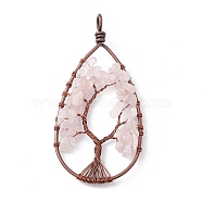 Teardrop Natural Rose Quartz Copper Wire Wrapped Chip Big Pendants, Tree of Life Charm, with Red Copper Tone Iron Findings, 76~83x39~43x8mm, Hole: 5~6.2mm(G-E195-11R-01)