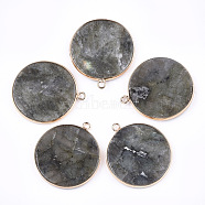 Natural Labradorite Pendants, with Brass Findings, Flat Round, Golden, 35~36x31~32x3mm, Hole: 2mm(G-T112-24H)