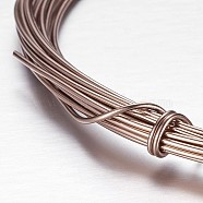 Aluminum Wire, Bendable Metal Craft Wire, for Beading Jewelry Craft Making, Camel, 10 Gauge, 2.5mm, 10m/roll(32.8 Feet/roll)(AW-D009-2.5mm-10m-15)
