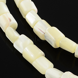 Column Natural White Shell Beads Strands, Mother of Pearl Shell Beads, Creamy White, 7~8x7mm, Hole: 0.8mm, about 56pcs/strand, 15.35 inch(BSHE-Q025-01)