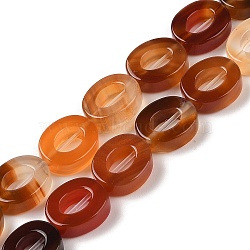 Natural Red Agate Beads Strands, Hollow Flat Oval, Number Zero Beads, 12x10x3.5~4mm, Hole: 1.2mm, about 20pcs/strand, 9.61''(24.4cm)(G-M439-A04-01)