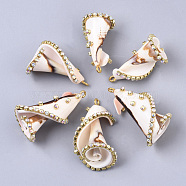 Natural Conch Shell Pendants, with Brass Rhinestone Cup Chains and Iron Loops, Golden, Beige, 30~37.5x17~21.5x17~21.5mm, Hole: 1.8mm(SSHEL-T014-02)