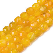 Natural Agate Beads Strands, Faceted, Dyed, Faceted, Cube, Goldenrod, 5x5.5x5.5mm, Hole: 1mm, about 61~62pcs/strand, 12.20 inch~12.40 inch(31~31.5cm)(G-S359-375F)