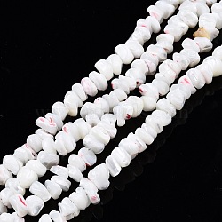 Natural Trochid Shell/Trochus Shell Beads Strands, Bleach, Nuggets Chips, Creamy White, 6.5~9x5~8x2~7mm, Hole: 0.8mm, about 101~108pcs/strand, 15.55 inch~15.94 inch(39.5~40.5cm)(SSHEL-N032-50)