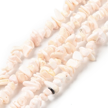 Natural Pink Shell Beads Strands, Nuggets Chips, Misty Rose, 5~13.5x4~7.5x1.5~6mm, Hole: 1mm, about 258pcs/strand, 30.71 inch(78cm)