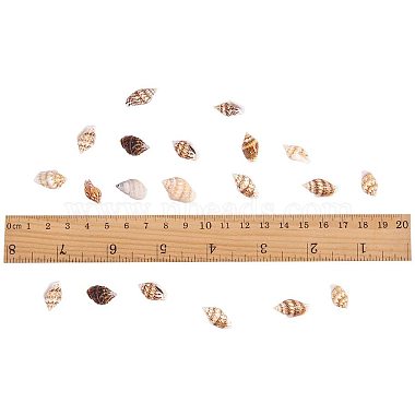 Natural Spiral Shell Beads(SSHEL-PH0002-03)-3