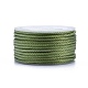 Polyester Braided Cords(OCOR-I006-A01-23)-1