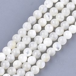 Natural White Shell Beads, Mother of Pearl Shell Beads Strands, Round, Ivory, 5mm, Hole: 1mm, about 75pcs/strand, 14.9 inch(X-SHEL-T012-49C)