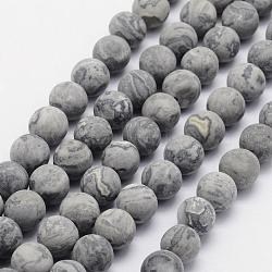 Natural Map Stone/Picasso Stone/Picasso Jasper Beads Strands, Frosted, Round, 6mm, Hole: 1mm, about 62pcs/strand, 15.3 inch(39cm)(G-F518-16-6mm)