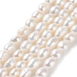Natural Cultured Freshwater Pearl Beads Strands, Two Side Polished, Grade 4A+, Seashell Color, 7~8x8~9.5mm, Hole: 0.7mm, about 42~43pcs/strand, 14.17''(36~36.5cm)(PEAR-Z002-18)