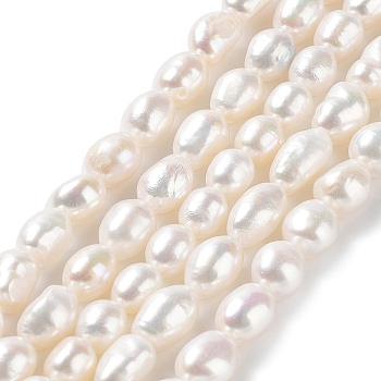 Natural Cultured Freshwater Pearl Beads Strands, Two Side Polished, Grade 4A+, Seashell Color, 7~8x8~9.5mm, Hole: 0.7mm, about 42~43pcs/strand, 14.17''(36~36.5cm)