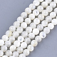 Natural White Shell Beads(X-SHEL-T012-49C)-1