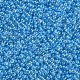 11/0 Grade A Transparent Glass Seed Beads(X-SEED-N001-F-256)-2