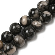 Natural Black Fossil Coral Beads Strands, Round, 10mm, Hole: 1.4mm, about 40~41pcs/strand, 15.47~15.75''(39.3~40cm)(G-R494-A04-04)