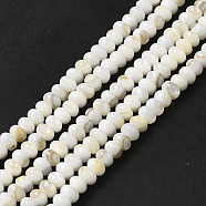 Natural Freshwater Shell Beads Strands, Rondelle, Beige, 5x3mm, Hole: 0.9mm, about 114~115pcs/strand, 15.31~15.43''(38.9~39.2cm)(BSHE-E026-15A-01)