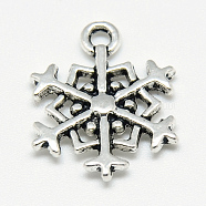 Tibetan Style Alloy Pendants, Snowflake, Cadmium Free & Lead Free, Antique Silver, 18x14.5x2.5mm, Hole: 2mm(X-TIBE-S301-031AS-RS)