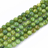 Freshwater Shell Beads Strands, Dyed, Round, Green, 4mm, Hole: 0.8mm, about 95pcs/strand, 14.96 inch(38cm)(SHEL-S276-32D)