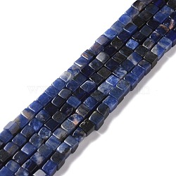 Natural Sodalite Beads Strands, Cube, 3.5~4x3.5~4x3.5~4mm, Hole: 1.2mm, about 99pcs/strand, 15.20''(38.6cm)(G-F631-K17)