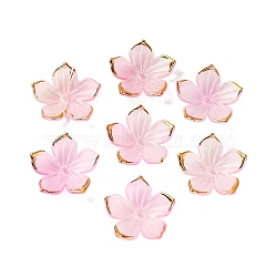 Transparent Acrylic Bead Caps, with Golden Eadge, Flower, Pink, 23.5x1.5mm, Hole: 1.5mm, about 962pcs/500g(TACR-P011-03B)