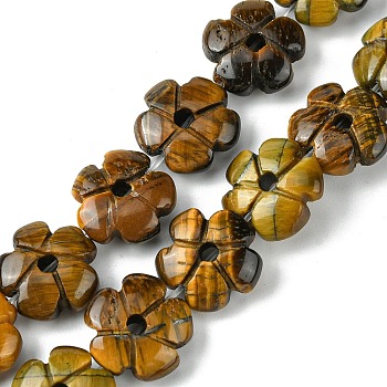 Natural Tiger Eye Beads Strands, Flower, 14x14x5.5mm, Hole: 1.2mm, about 29pcs/strand, 14.80''(37.6cm)