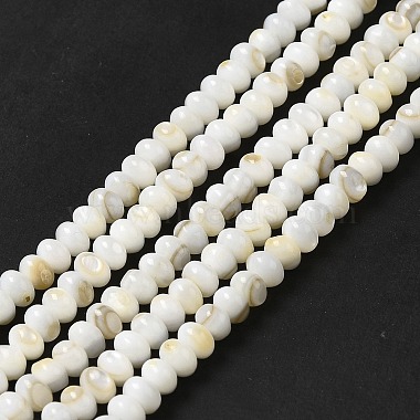 Natural Freshwater Shell Beads Strands(BSHE-E026-15A-01)-1
