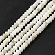 Natural Freshwater Shell Beads Strands(BSHE-E026-15A-01)-1