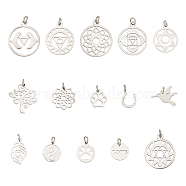 15Pcs 15 Style 304 Stainless Steel Pendants, Mixed Shapes, Stainless Steel Color, 1pc/style(STAS-CA0001-19P)