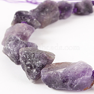 Natural Gemstone Amethyst Rough Nuggets Bead Strands, 13~40x10~26x10~23mm, Hole: 2mm, about 14~19pcs/strand, 16.54 inch(G-E219-02A)