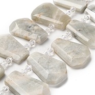 Natural Grey Moonstone Beads Strands, with Glass Beads, Faceted, Teardrop, Top Drilled, 26~30.5x16~22.5x6.5~8.5mm, Hole: 1.4mm, about 18pcs/strand, 15.28~15.94''(38.8~40.5cm)(G-H078-A07-01)