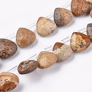 Natural Picture Jasper Beads Strands, Top Drilled Beads, Faceted, Teardrop, 10~10.5x10~10.5x5mm, Hole: 0.6mm, about 39pcs/strand, 15.94 inch(40.5cm)(G-G821-04B)