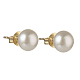 Aretes de perlas naturales rondelle(EJEW-JE04585-03)-1