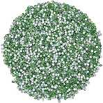 4 Bags Glass Flat Back Rhinestone, Grade A, Back Plated, Faceted, Half Round, Peridot, SS6, 1.9~2mm, 1440pcs/set(RGLA-SC0001-06A)