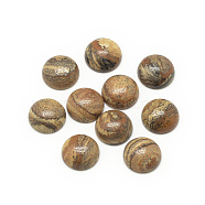 Natural Picture Jasper Cabochons, Half Round/Dome, 16x6mm(X-G-R416-16mm-42)