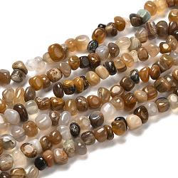 Natural Petrified Wood Beads Strands, Tumbled Stone, Nuggets, 5~11x3~8x1~7mm, Hole: 1mm, 33.85~35.43 inch(86~90cm)(G-G031-01)