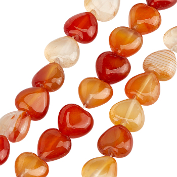 1 Strand Natural Red Agate Beads Strands, Heart, 10x10.5~11x5mm, Hole: 1.2mm, about 40pcs/strand, 15.35''(39cm)