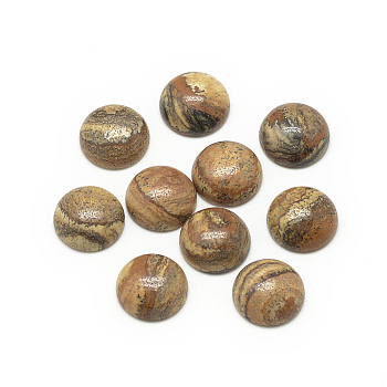 Natural Picture Jasper Cabochons, Half Round/Dome, 16x6mm