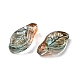 Glass Beads(GLAA-D303-08)-2