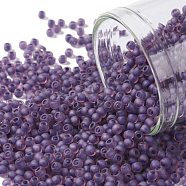 TOHO Round Seed Beads, Japanese Seed Beads, (928FM) Purple Lined Amethyst Matte, 11/0, 2.2mm, Hole: 0.8mm, about 1110pcs/bottle, 10g/bottle(SEED-JPTR11-0928FM)