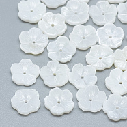 Freshwater Shell Beads, Flower, Seashell Color, 10x10x2.5mm, Hole: 0.8mm(SHEL-S275-018)