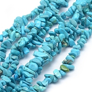 Natural Magnesite Beads Strands, Dyed & Heated, Chip, 3~5mm, Hole: 0.6mm, about 33 inch(84cm)(G-P332-62A)
