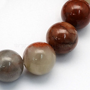 Natural Red Rainbow Jasper Round Beads Strands, 8.5mm, Hole: 1.2mm, about 47pcs/strand, 15.5 inch(G-S178-8mm)