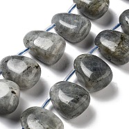Natural Labradorite Beads Strands, Teardrop, Top Drilled, 22.5~26x14.5~19x12~14.5mm, Hole: 0.9mm, about 8~9pcs/strand, 7.48''~8.66''(19~22cm)(G-P528-E10-01)
