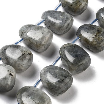 Natural Labradorite Beads Strands, Teardrop, Top Drilled, 22.5~26x14.5~19x12~14.5mm, Hole: 0.9mm, about 8~9pcs/strand, 7.48''~8.66''(19~22cm)